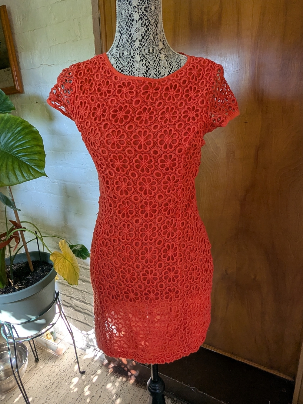 ASOS Bright Orange Floral Crochet Lace Shift Mini Dress